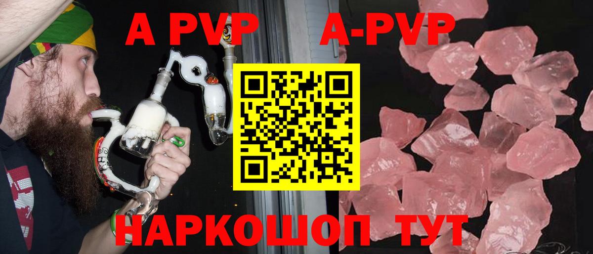 Alfa_PVP СК Назрань