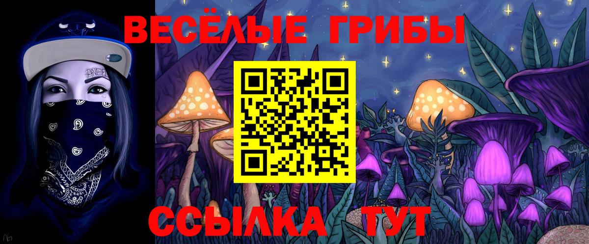 Псилоцибиновые грибы мухоморы Назрань