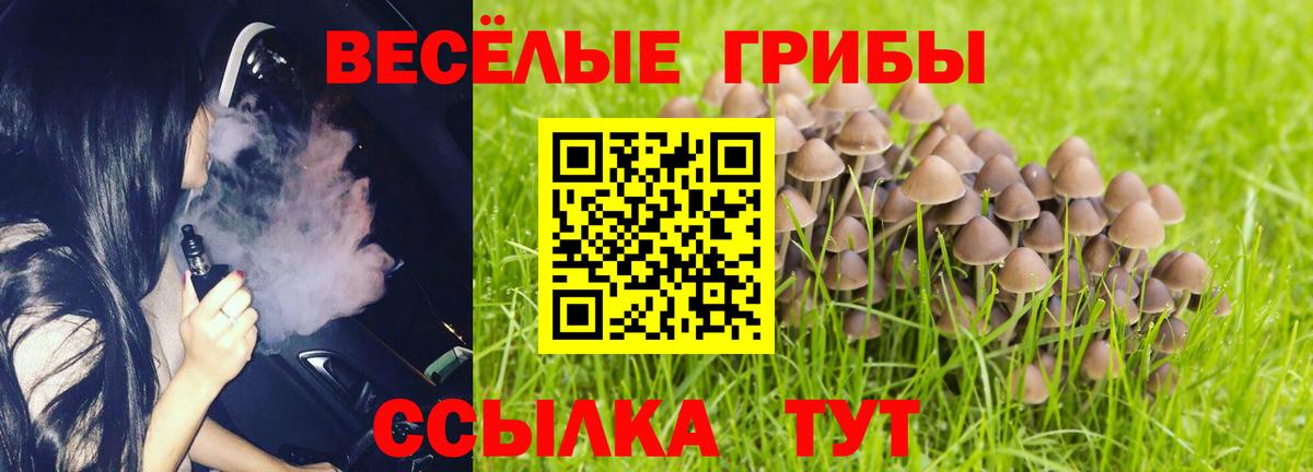 наркотики  Вход с VPN  Назрань  Псилоцибиновые грибы прущие грибы 